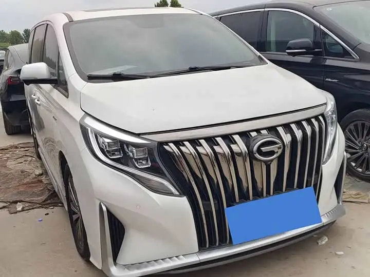 GAC Trumpchi M8 2021, арт. CN-3510764 — фото 1