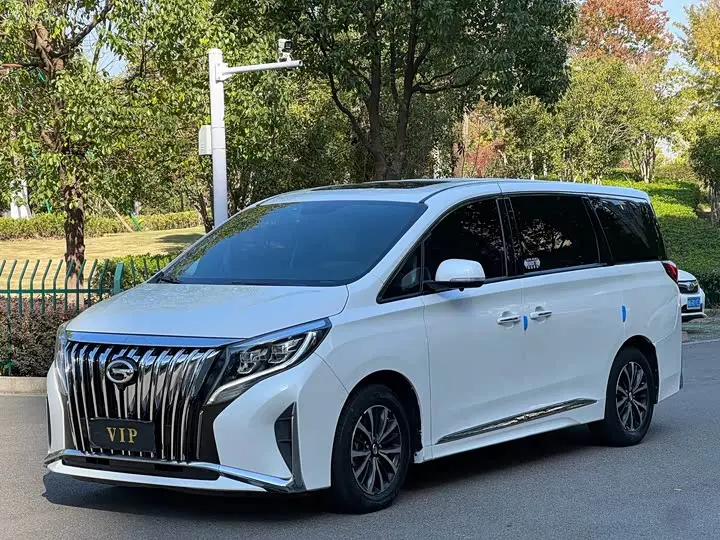 GAC Trumpchi M8 2021, арт. CN-3510895 — фото 1