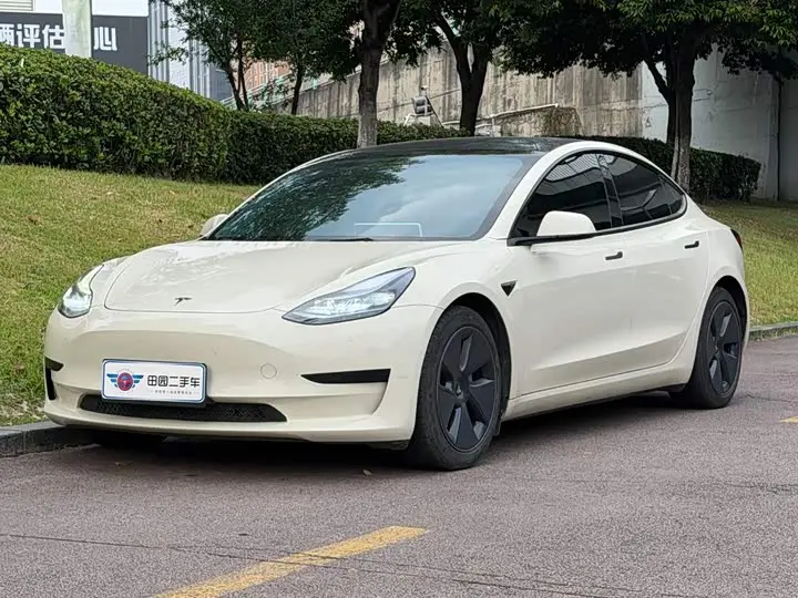 Tesla Model 3 2022, арт. CN-3512892 — фото 1