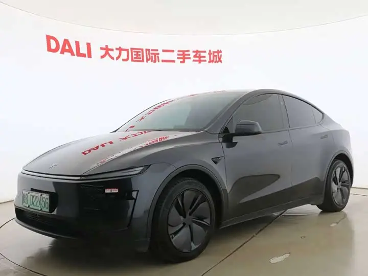Tesla Model Y 2025, арт. CN-3513155 — фото 1