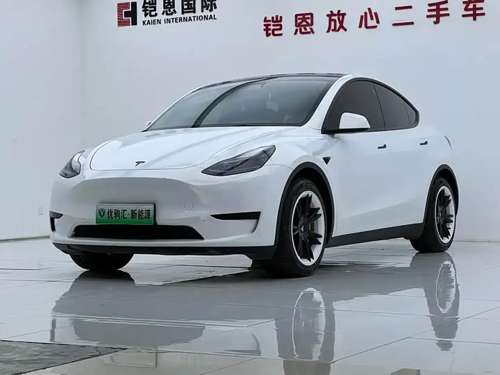 Tesla Model Y 2022, арт. CN-3513239 — фото 1