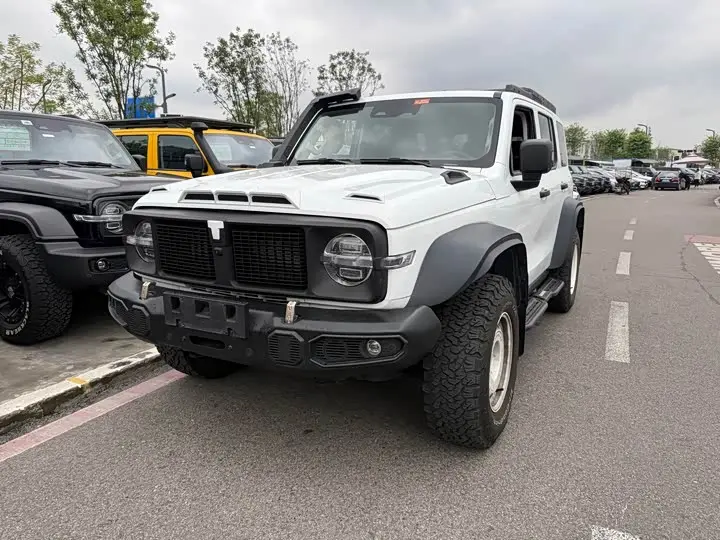 Tank 300 2023, арт. CN-3549600 — фото 1