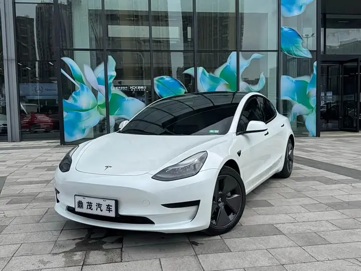 Tesla Model 3 2022, арт. CN-3550677 — фото 1