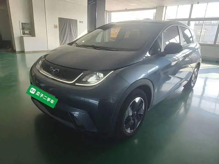 BYD Dolphin 2024, арт. CN-3551570 — фото 1