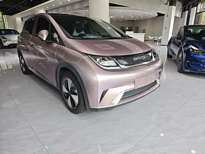 BYD Dolphin 2023, арт. CN-3551779 — фото 1