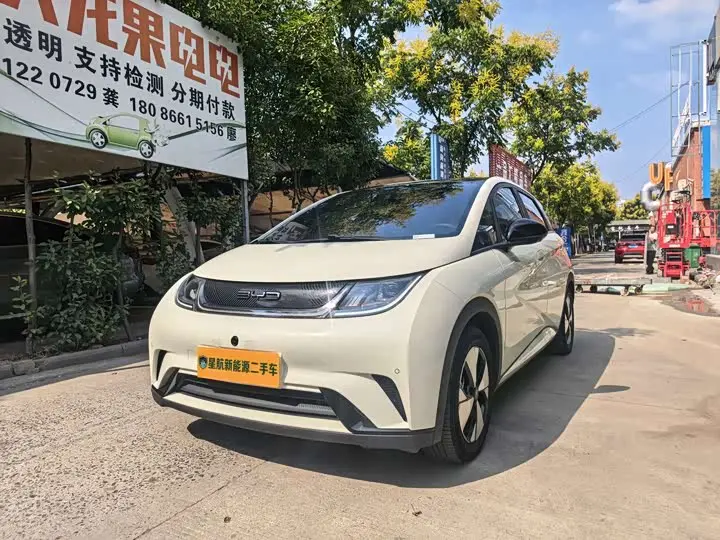 BYD Dolphin 2023, арт. CN-3553230 — фото 1