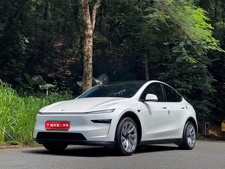 Tesla Model Y 2025, арт. CN-3553262 — фото 1