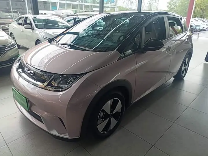 BYD Dolphin 2023, арт. CN-3555147 — фото 1
