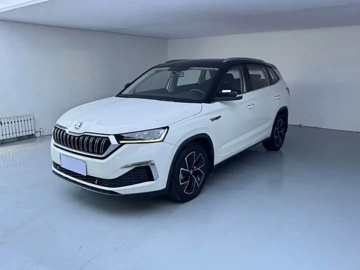 Skoda Kamiq 2022, арт. CN-3555846 — фото 1
