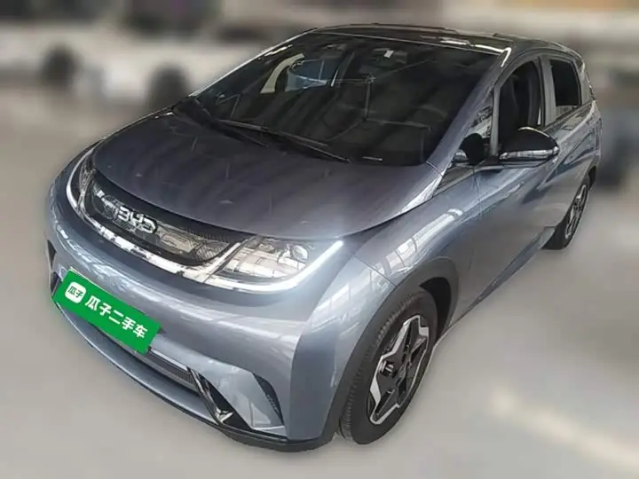 BYD Dolphin 2021, арт. CN-3556747 — фото 1