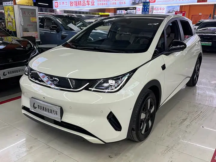 BYD Dolphin 2025, арт. CN-3559711 — фото 1