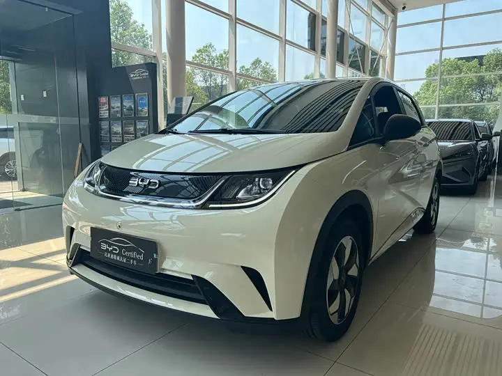 BYD Dolphin 2025, арт. CN-3560271 — фото 1