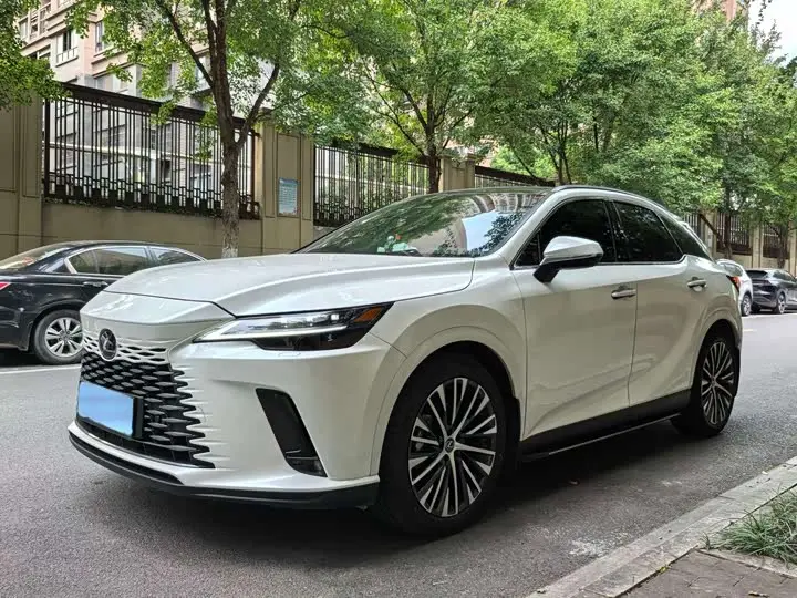 Lexus RX Hybrid 2023, арт. CN-3560434 — фото 1