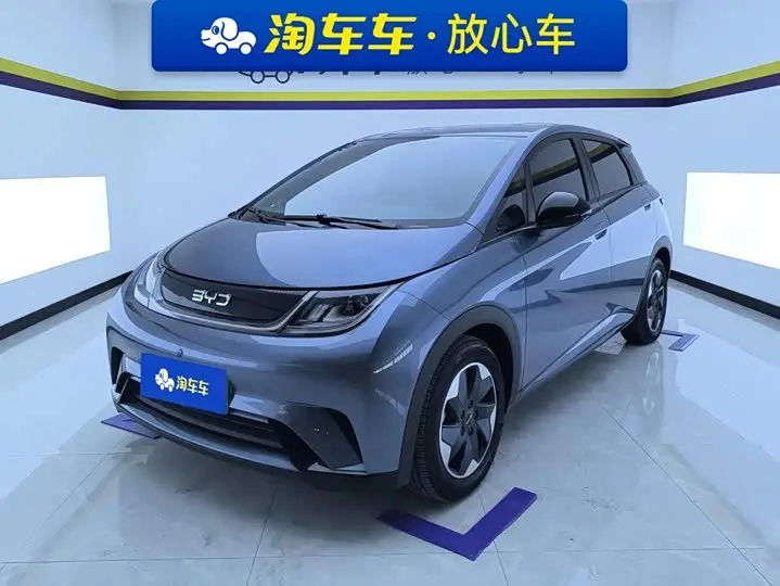 BYD Dolphin 2025, арт. CN-3560605 — фото 1