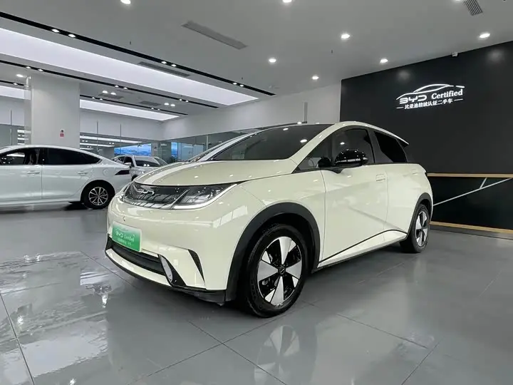 BYD Dolphin 2023, арт. CN-3561843 — фото 1