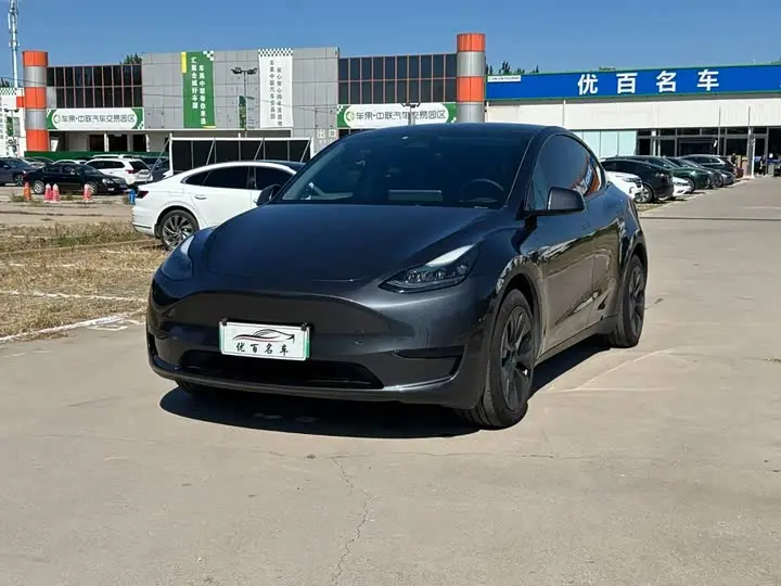 Tesla Model Y 2024, арт. CN-3562384 — фото 1