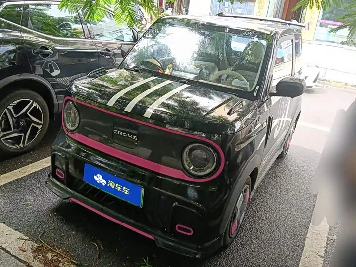 Geely Galaxy Panda Mini 2024, арт. CN-3562885 — фото 1