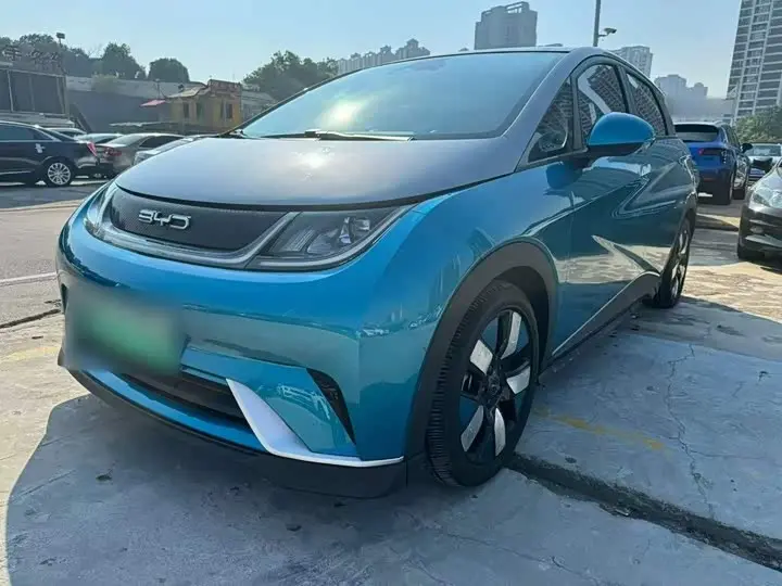 BYD Dolphin 2021, арт. CN-3564306 — фото 1