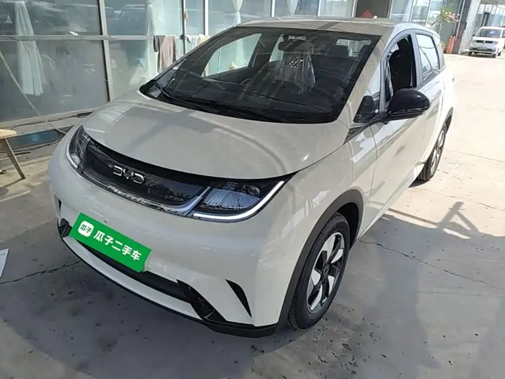 BYD Dolphin 2025, арт. CN-3564449 — фото 1