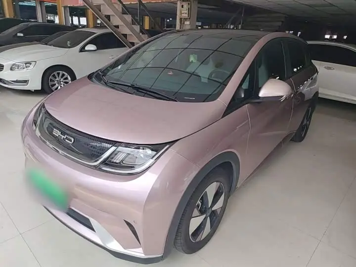 BYD Dolphin 2023, арт. CN-3564467 — фото 1