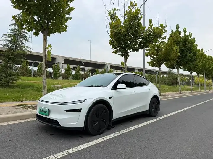 Tesla Model Y 2025, арт. CN-3564470 — фото 1