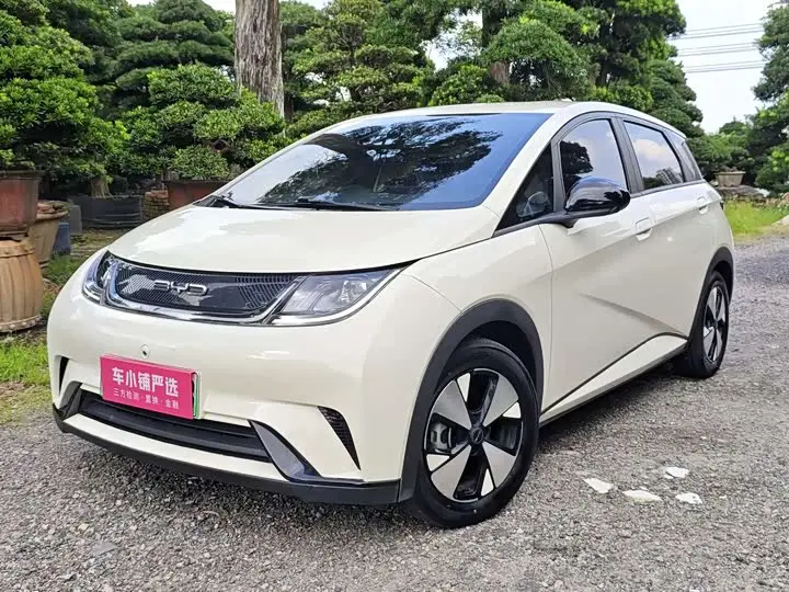 BYD Dolphin 2023, арт. CN-3564843 — фото 1