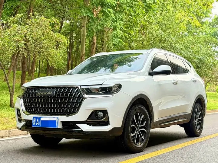 Haval H6 2023, арт. CN-3580794 — фото 1