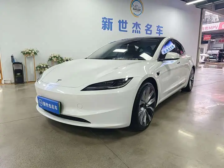 Tesla Model 3 2023, арт. CN-3581410 — фото 1