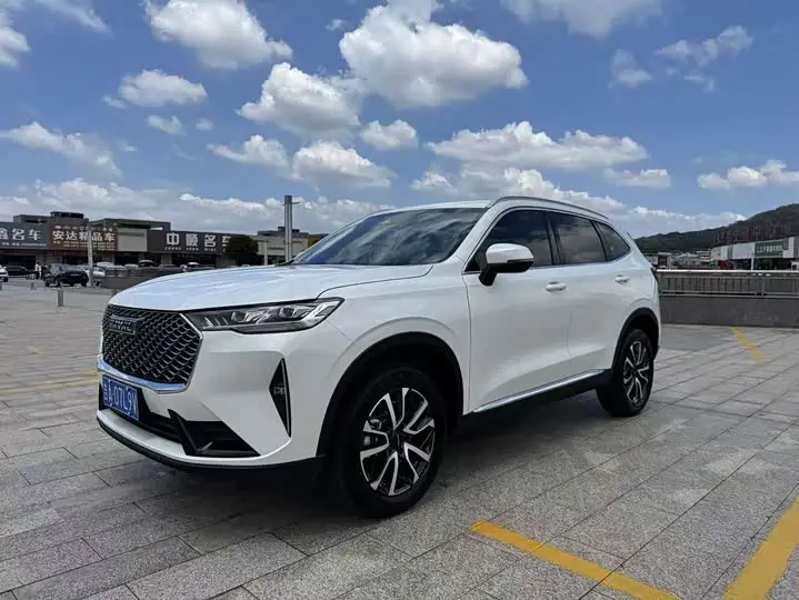 Haval H6 2022, арт. CN-3581621 — фото 1