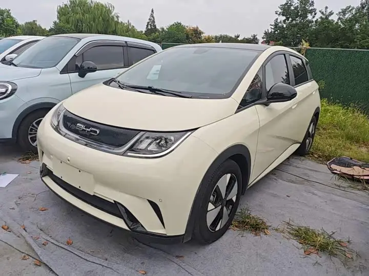BYD Dolphin 2023, арт. CN-3582545 — фото 1
