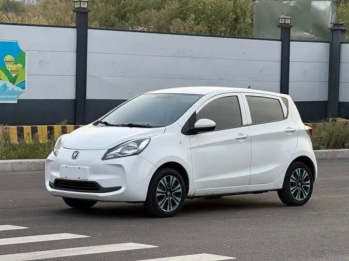 Changan BenBen E-Star 2021, арт. CN-3583191 — фото 1