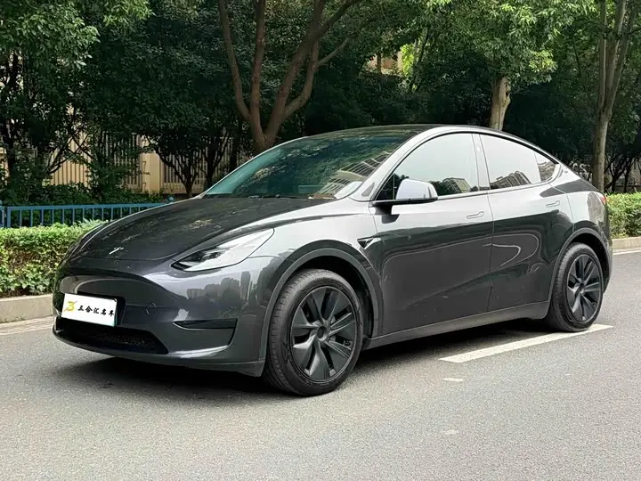 Tesla Model Y 2024, арт. CN-3583220 — фото 1