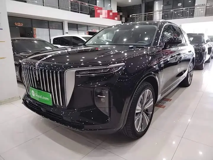 Hongqi E-HS9 2021, арт. CN-3583382 — фото 1