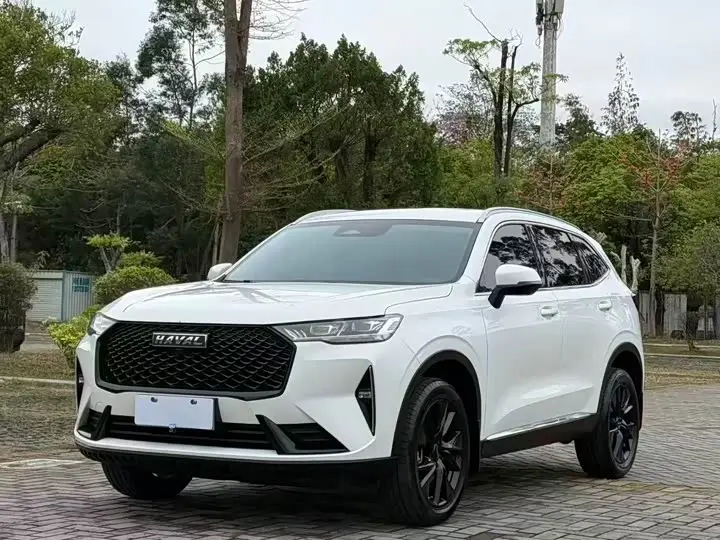 Haval H6 2021, арт. CN-3583490 — фото 1