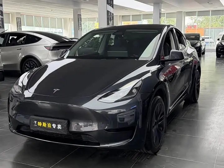 Tesla Model Y 2024, арт. CN-3583645 — фото 1