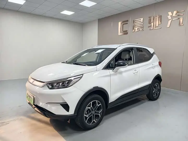 BYD Yuan Pro 2021, арт. CN-3584034 — фото 1