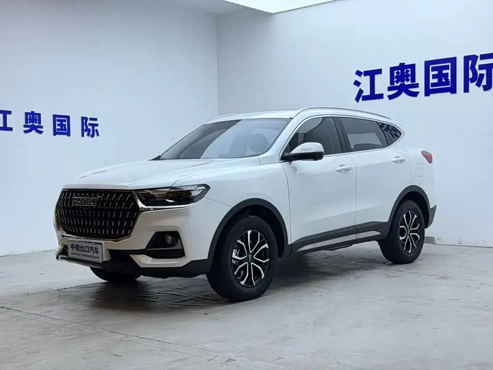 Haval H6 2023, арт. CN-3584096 — фото 1