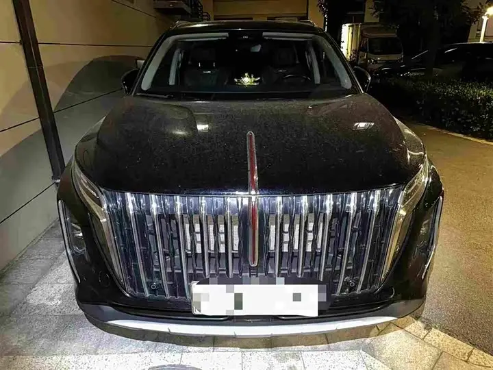 Hongqi HS7 Hybrid 2024, арт. CN-3584321 — фото 1