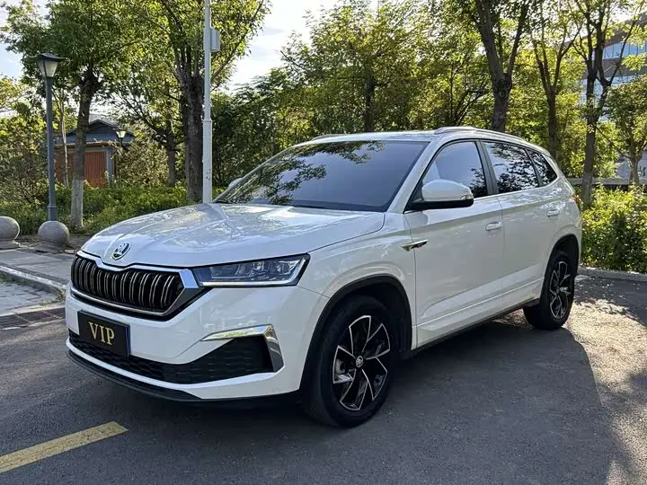 Skoda Kamiq 2020, арт. CN-3586526 — фото 1