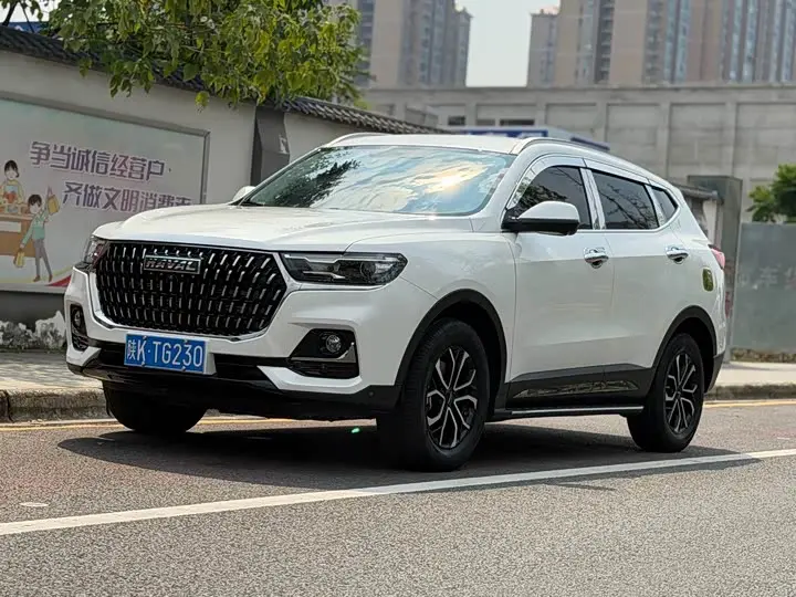 Haval H6 2021, арт. CN-3587148 — фото 1