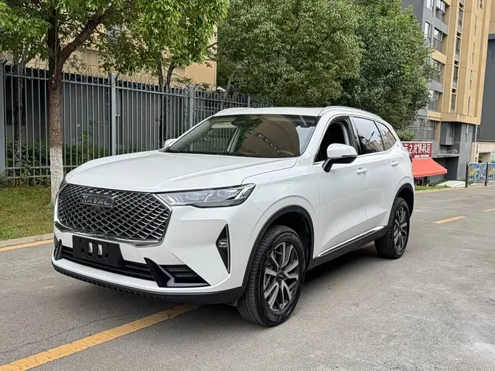 Haval H6 2021, арт. CN-3590213 — фото 1