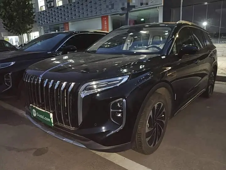 Hongqi HS7 Hybrid 2024, арт. CN-3590762 — фото 1