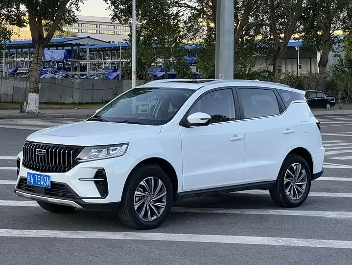 Geely Vision X6 2021, арт. CN-3592209 — фото 1