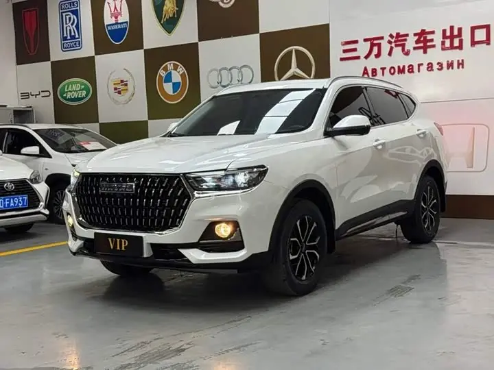 Haval H6 2023, арт. CN-3592424 — фото 1
