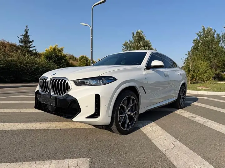 BMW X6 2023, арт. CN-3594913 — фото 1