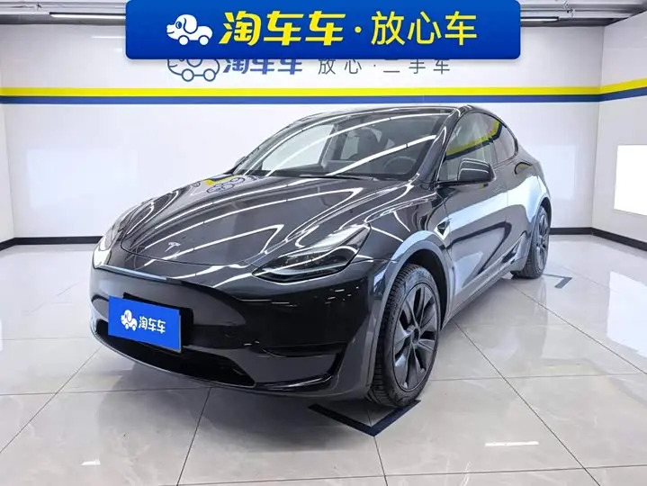 Tesla Model Y 2024, арт. CN-3595216 — фото 1