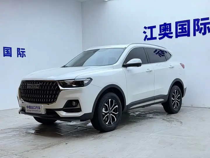 Haval H6 2023, арт. CN-3595390 — фото 1