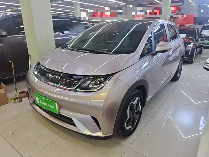 BYD Dolphin 2021, арт. CN-3595599 — фото 1