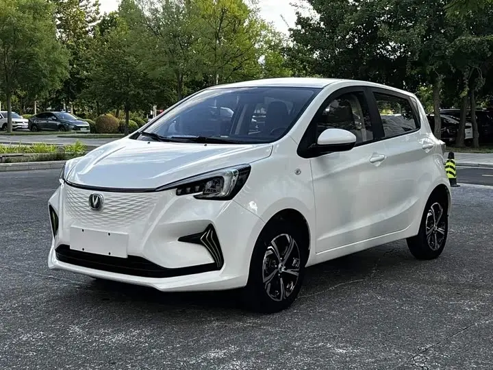 Changan BenBen E-Star 2020, арт. CN-3595927 — фото 1