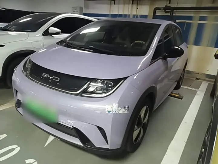 BYD Dolphin 2023, арт. CN-3596554 — фото 1